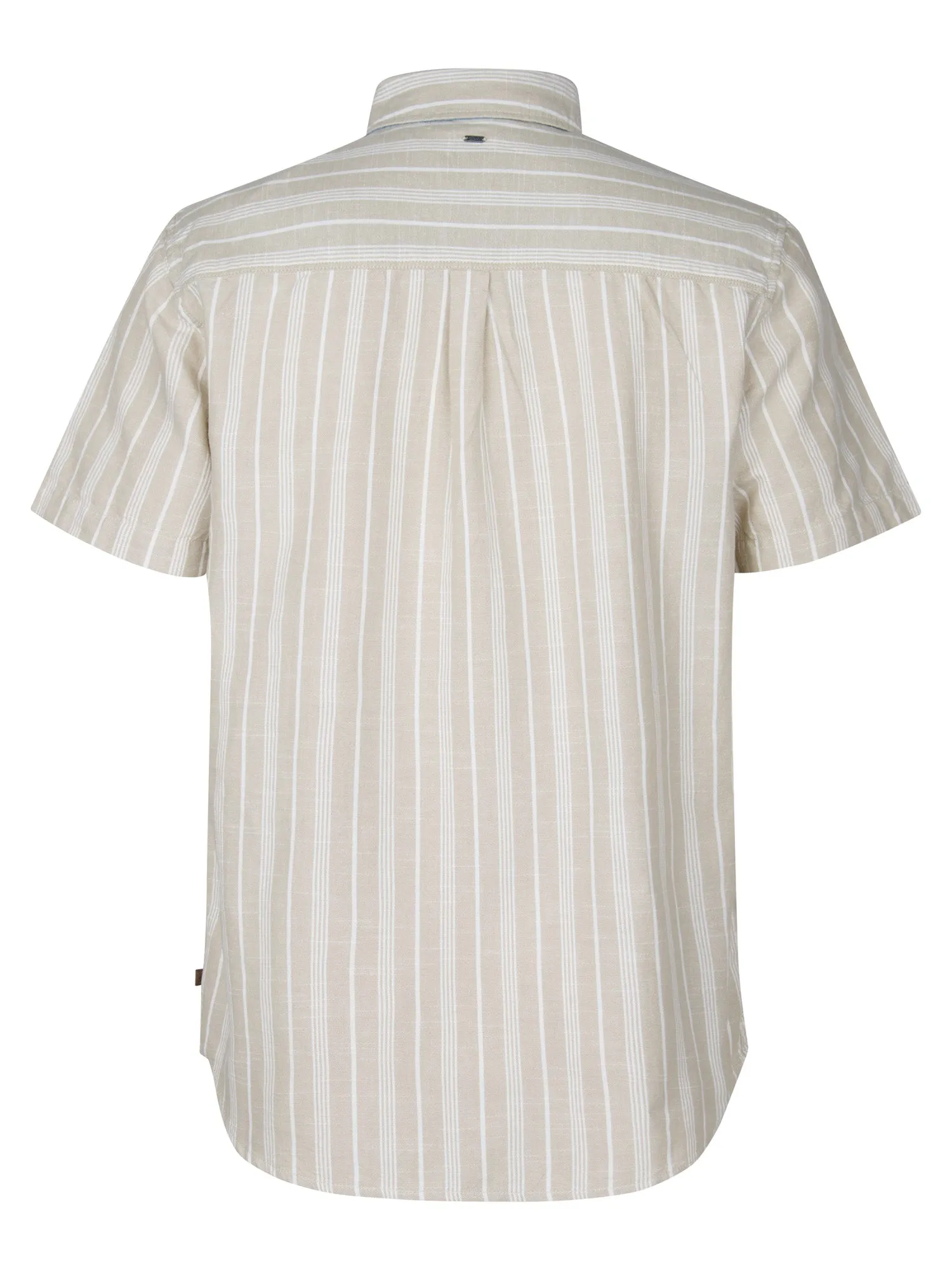 Striped Shirt Turtlevista